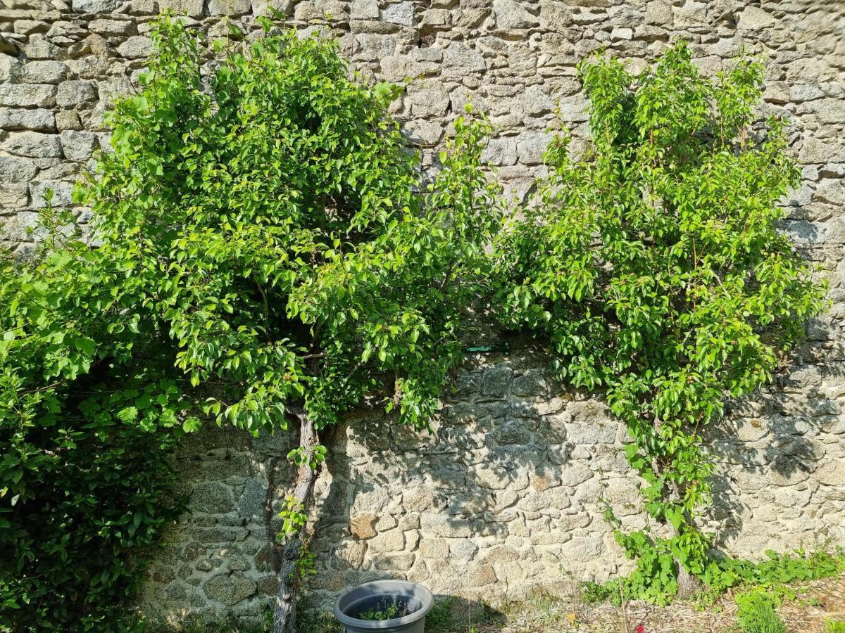 Piégut-PluviersL'Atrium住宿加早餐旅馆 外观 照片